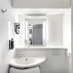 Ibis Am Plaerrer