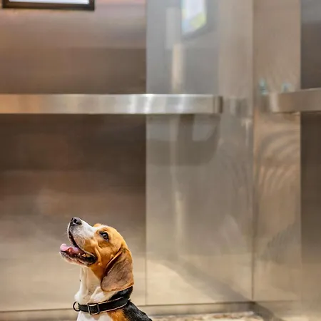 מלון Ibis Am Plaerrer