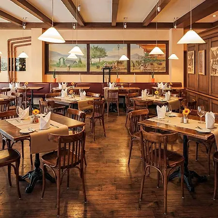 Ibis Am Plaerrer נירנברג